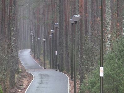 Дорожка на вокзал – прекрасное место для прогулок (видео) - В Висагинасе