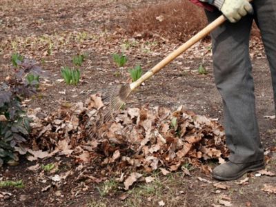 За уборку территорий вокруг многоквартирных домов будут платить дважды? - Литва и страны Балтии