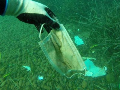 Эксперты: рост использования защитных масок создает источник загрязнения Мирового океана - В Мире