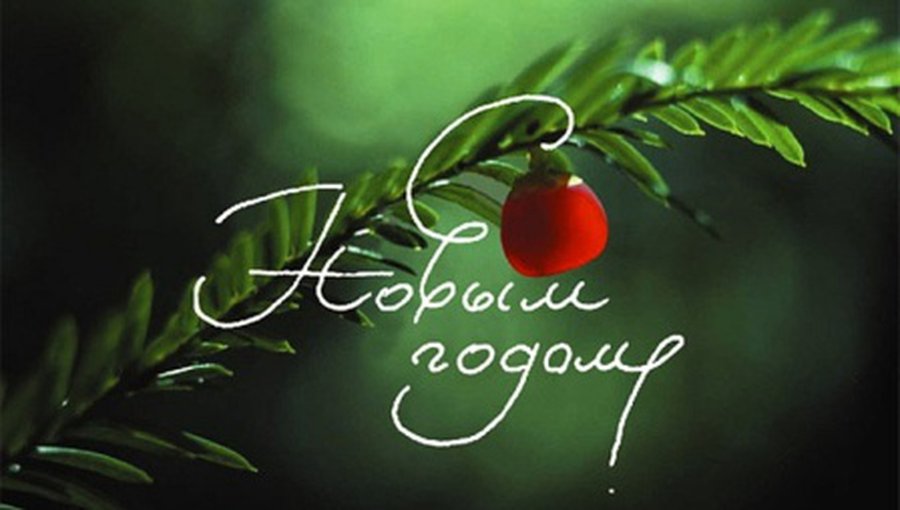 С Новым Годом! - Новости TTS