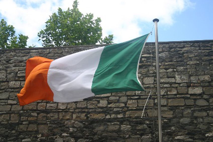 Ирландия испытывает острую нужду, за которую не стыдно