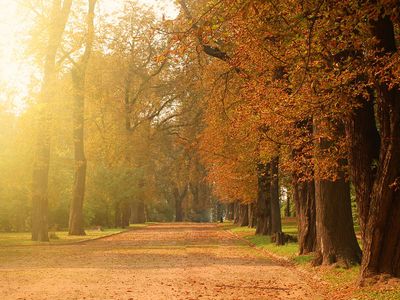 Погода в Литве напомнит "бабье лето" - Литва и страны Балтии