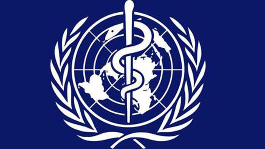 Экспертов ВОЗ, развернувших всемирную борьбу со свиным гриппом, подозревают в коррупции - Наука и здоровье