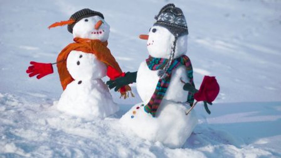 Климатолог: начало января будет теплым, похолодает лишь в конце месяца - Литва и страны Балтии