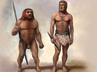 Новая версия исчезновения неандартальцев – их съели наши предки - Наука и здоровье