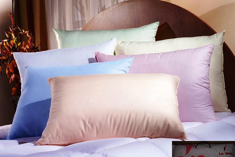 Подушка служит рассадником множества клещей, аллергенов и микробов                 - Наука и здоровье