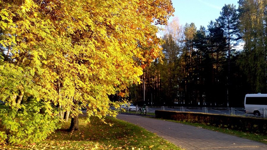 Фото дня: осенний Висагинас - В Висагинасе