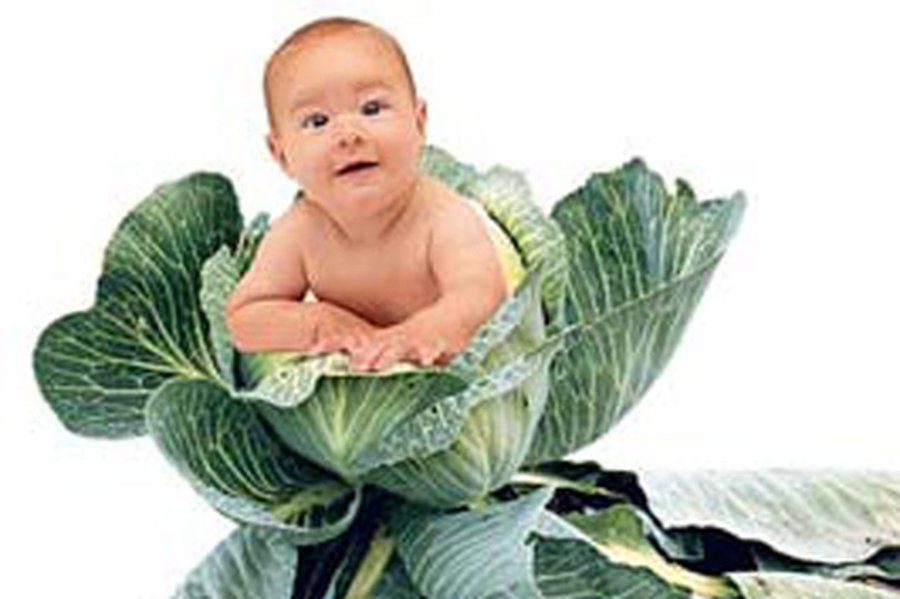 В России узаконили суррогатное материнство                                                                 - В Мире