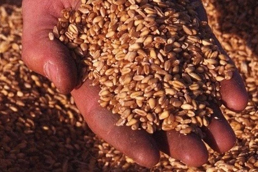 Грузия ожидает пшеницу из Литвы