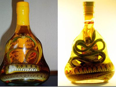 Необычные алкогольные напитки                                 - Хобби, отдых и развлечения