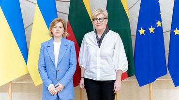 I. Šimonytė: Lietuva deda visas pastangas, kad Ukrainai būtų suteiktas ES kandidatės statusas