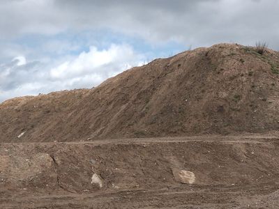 Nikolajus Lebedevičius: "Kodėl nusispjauti į gyventojų nuomonę?" - Be cenzūros