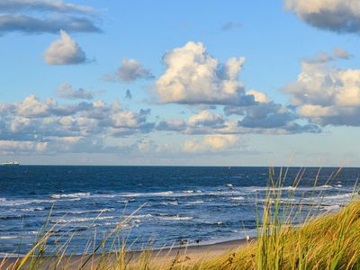 И. Шимоните: зеленый курс – один из важнейших приоритетов этого правительства - Литва и страны Балтии