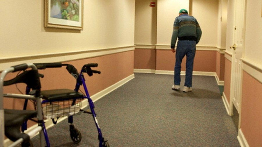 Обилие углеводов и сахара в пище вызывает когнитивные нарушения - Наука и здоровье