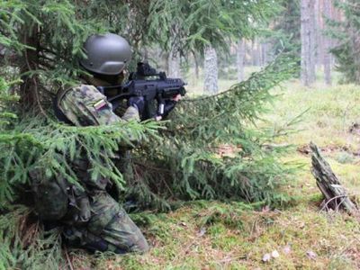 Какую войну вела бы Литва в случае нападения - Литва и страны Балтии