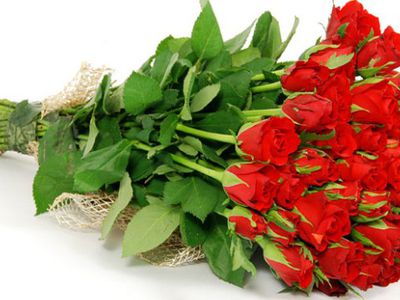 Поздравляем с Днем рожденья! - Поздравления