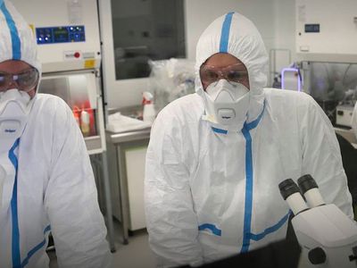 Южноафриканский штамм коронавируса B.1.1.529 выявили в Бельгии - Наука и здоровье