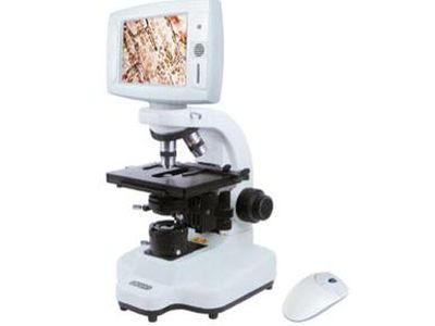 Микроорганизмы на экране - Наука и здоровье