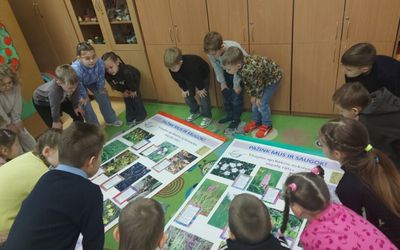 Путешествие в мир редких растений с учениками гимназии «Verdenės» - Мир молодежи