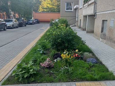 Висагинцев приглашают принять участие в работе комиссии по охране, уходу и благоустройству зеленых насаждений - В Висагинасе