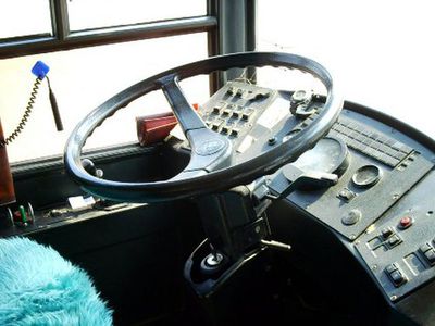 Бесплатный проезд в автобусах – с 22 апреля. Всем ли садоводам хватит в них места? - В Висагинасе