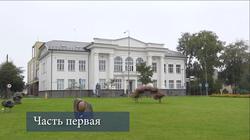 История музея Зарасайского края (видео)