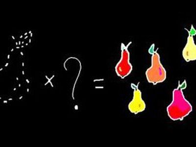 Почему нельзя делить на ноль? - Наука и здоровье