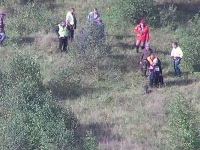 Пенсионерку, которая отправилась за грибами и заблудилась, нашли с помощью дрона - Происшествия и криминал