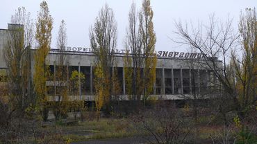 Зона отчуждения 28 лет спустя: чем живет покинутая Чернобыльская зона?