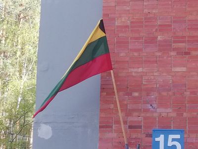 В Литве объявлен траур: что нужно знать и как себя вести, какие штрафы? - Литва и страны Балтии