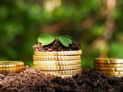 Последний день уплаты земельного налога: жители Литвы должны внести около 61 млн. евро - Литва и страны Балтии