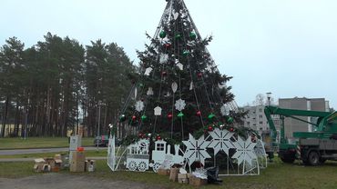 Все о елках и не только. Блиц-опрос висагинцев (видео)