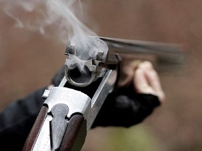 Австриец на фургоне расстрелял соседей и скрылся в лесу - Происшествия и криминал