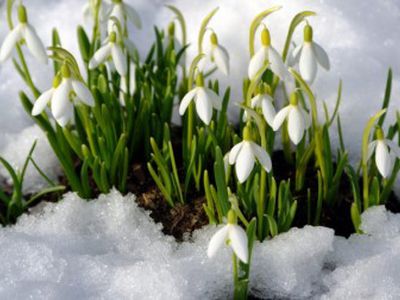 Синоптики: тепло пришло ненадолго - Литва и страны Балтии