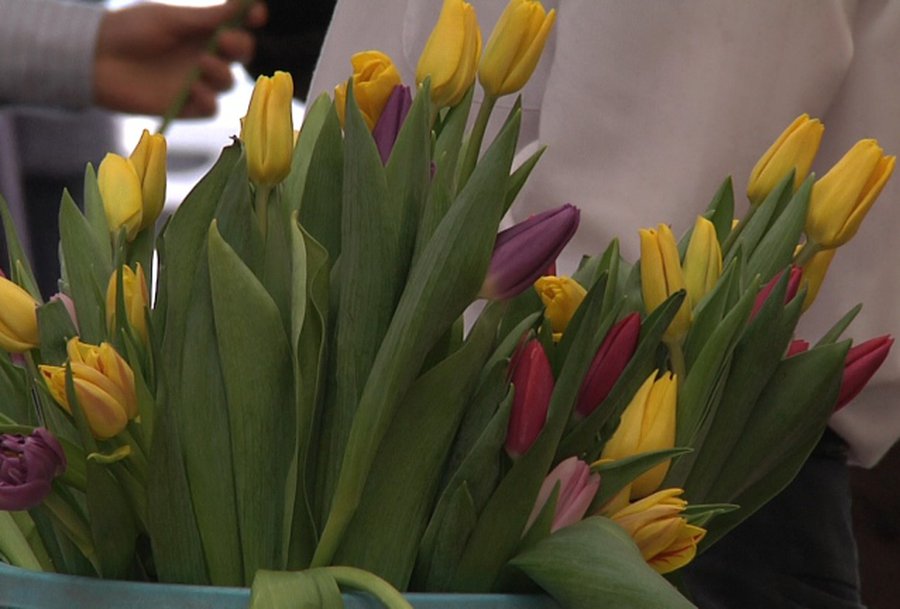 В ожидании первого весеннего праздника                                 - Реклама