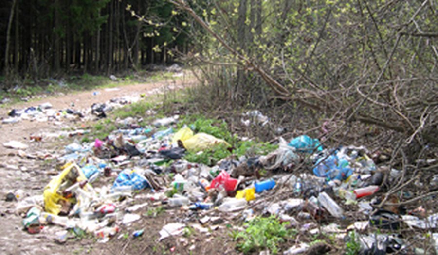 В Вильнюсе - засады на любителей мусорить  - Литва и страны Балтии