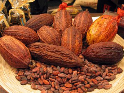 В следующем году вырастут мировые цены на какао                                 - В Мире