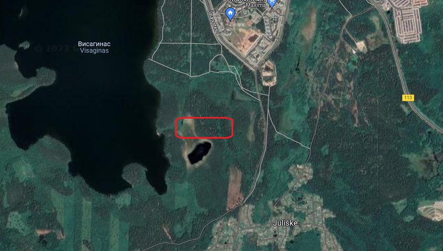 Государственное лесничество информирует о вырубке леса - В Висагинасе