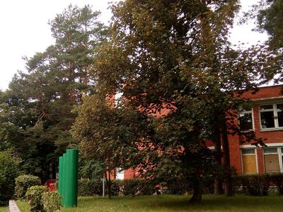 Глас народа: «Каденция разрушителей. Когда рожать-то начнёте, беременные идеями?» - В Висагинасе