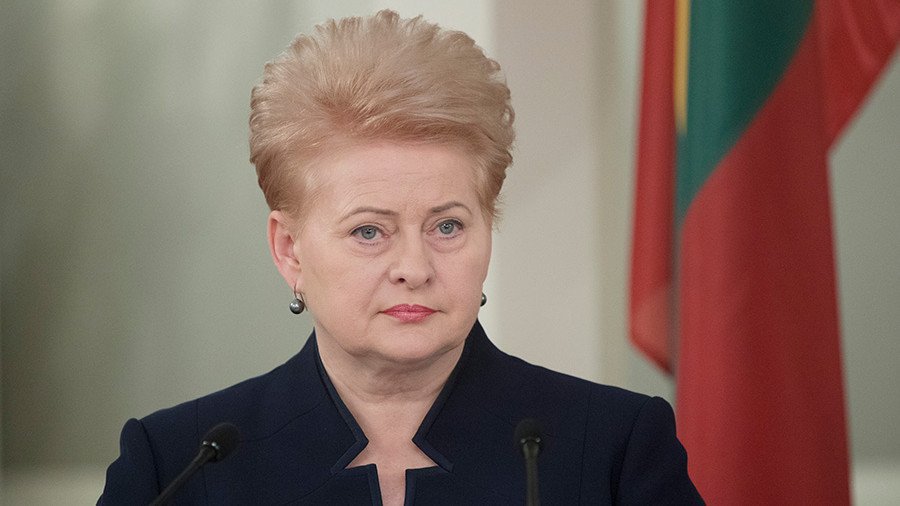 Д. Грибаускайте будет участвовать в инаугурации нового президента Украины - В Мире