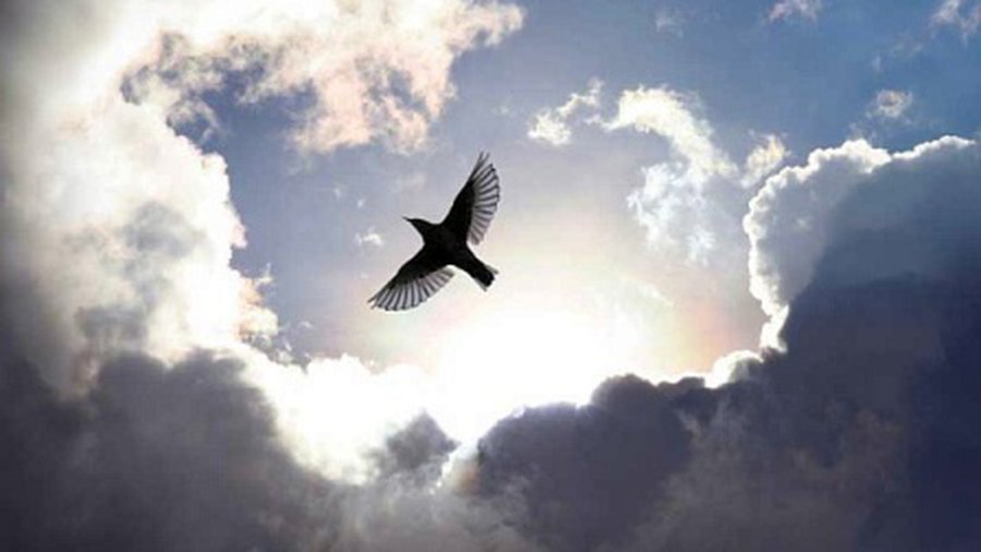 О том, как нейробиолог на том свете побывал - Наука и здоровье