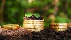 VMI primena: žemės mokesčiui sumokėti liko trys savaitės