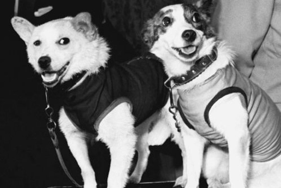 50 лет знаменитому полету в космос
 - Хобби, отдых и развлечения