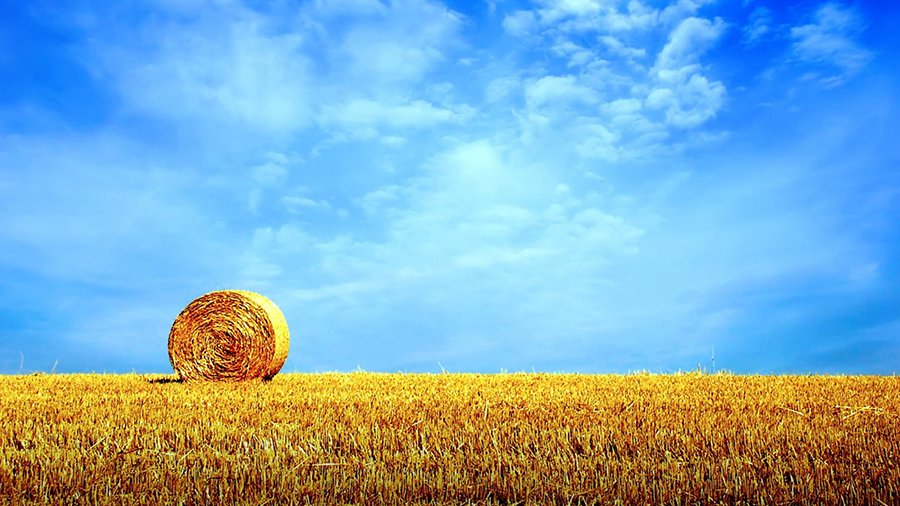 В Литве ожидается жара до +30 градусов - Литва и страны Балтии