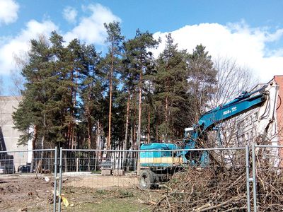 Реконструкция квартала Парко-Седулинос. Сколько стоит каждое срубленное дерево? - В Висагинасе