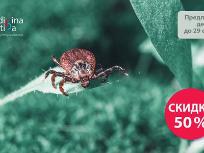 Новинка! Исследование клещей! - Реклама