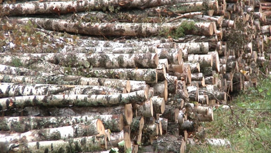 Назад — к дровам, вперед — к «зеленой» энергетике и экономии? - В Висагинасе