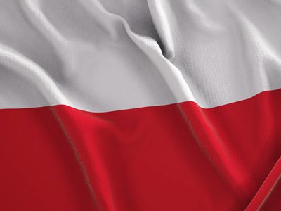 Заграждение на границе с Белоруссией начнут строить 15 декабря - польский сенатор - В Мире