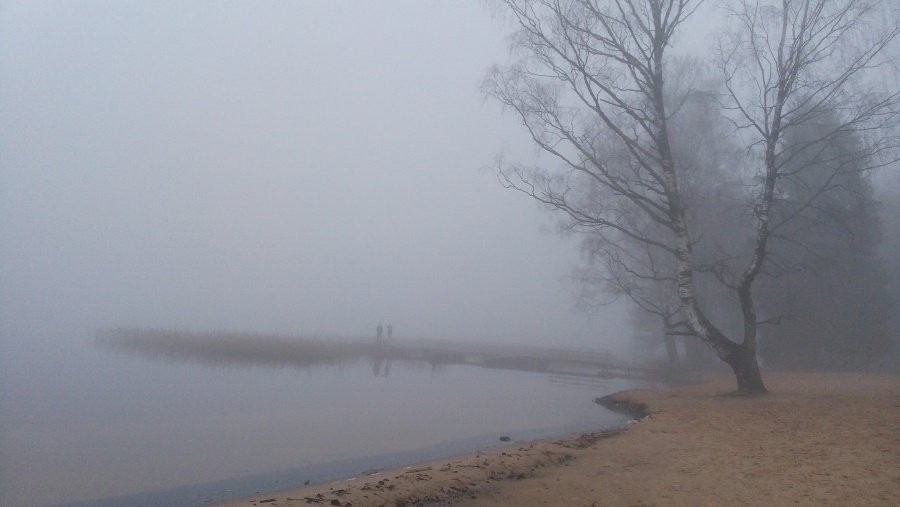 Прогноз погоды в Висагинасе на следующую неделю - В Висагинасе