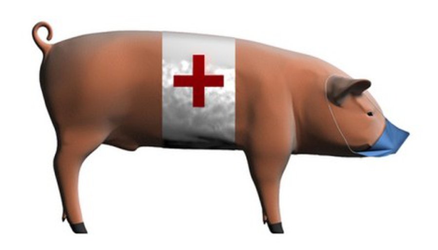 Четверо жителей Польши и две китаянки стали жертвами свиного гриппа - Наука и здоровье